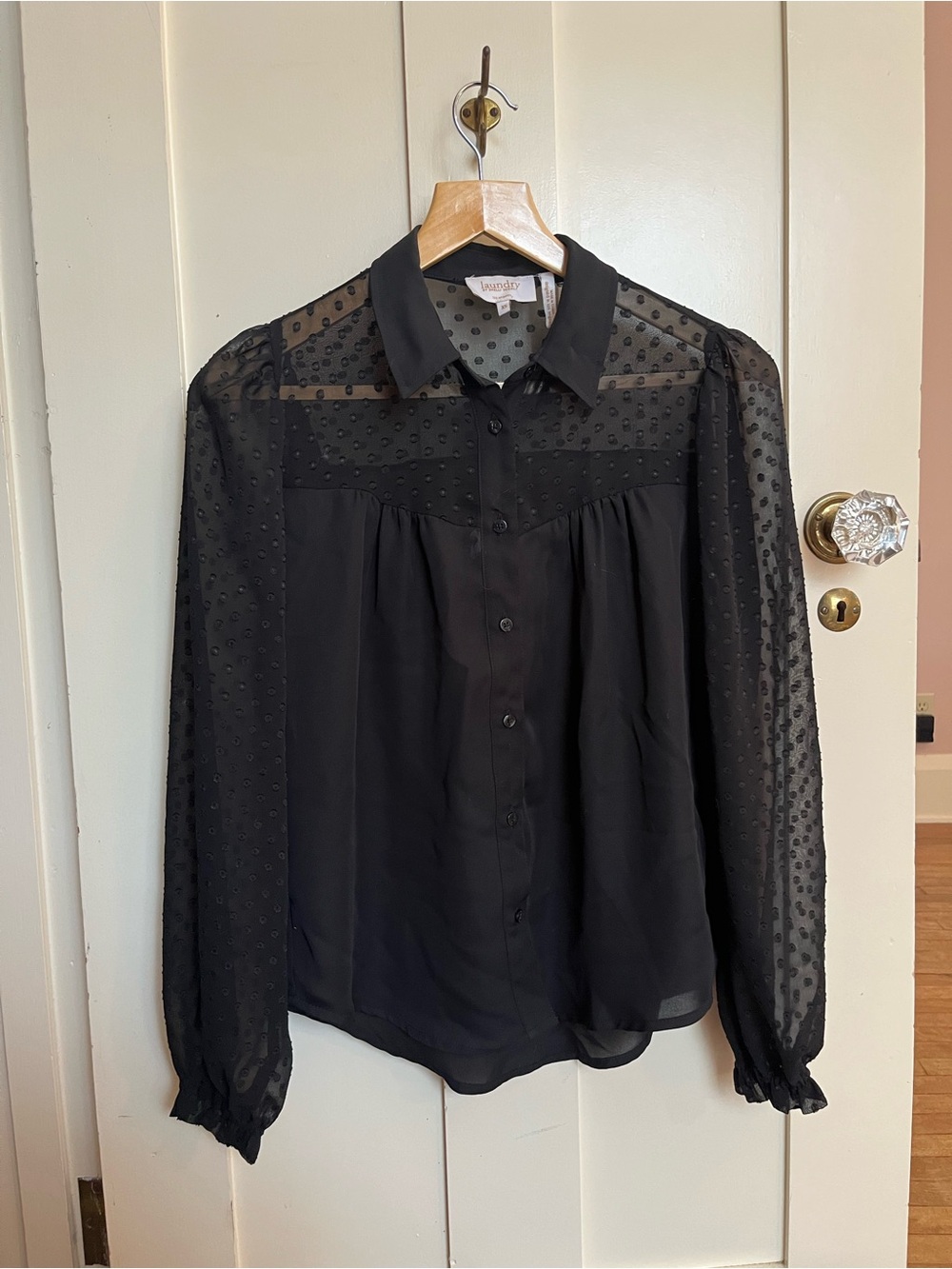 Sheer Dot-Detail Black Button-Front Blouse - Women